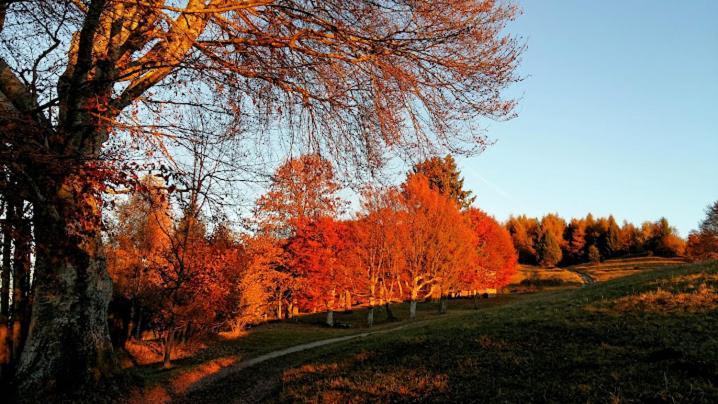 Locanda Da Tullio Capovalle Zewnętrze zdjęcie